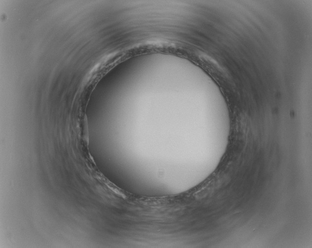 X0000060740776200512081917