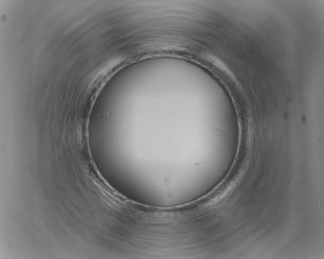 X0000060740777200512081917