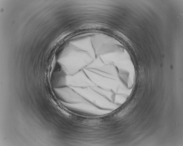 X0000060740778200512081917