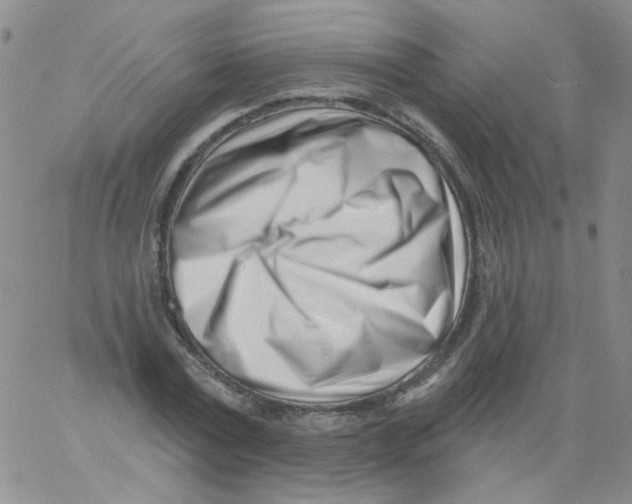 X0000060740779200512081917