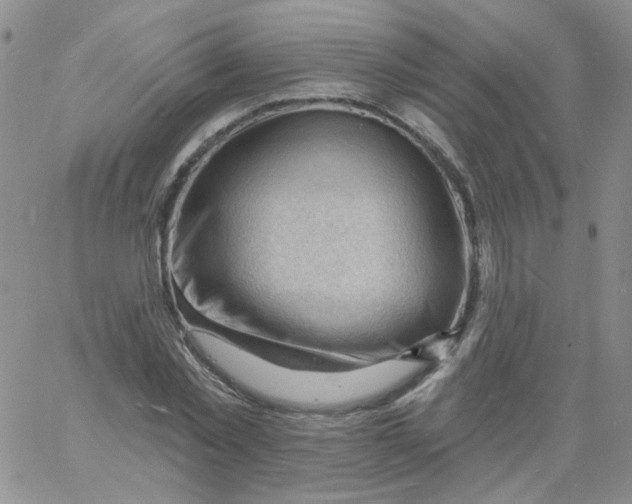 X0000060740781200512081917