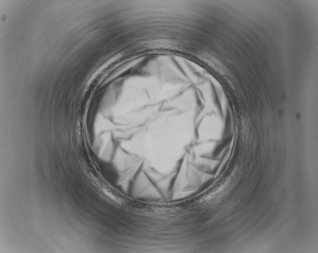 X0000060740782200512081917