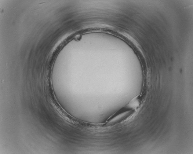 X0000060740783200512081917