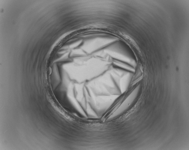 X0000060740784200512081916