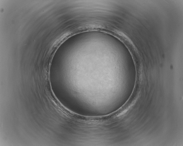 X0000060740785200512081916