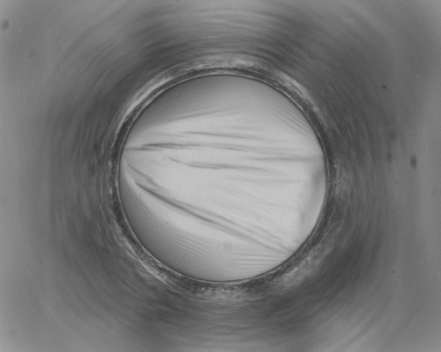 X0000060740786200512081916