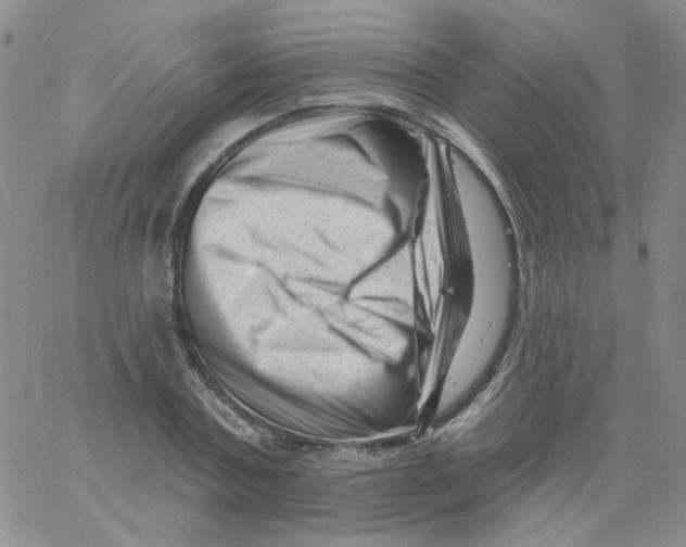 X0000060740787200512081916