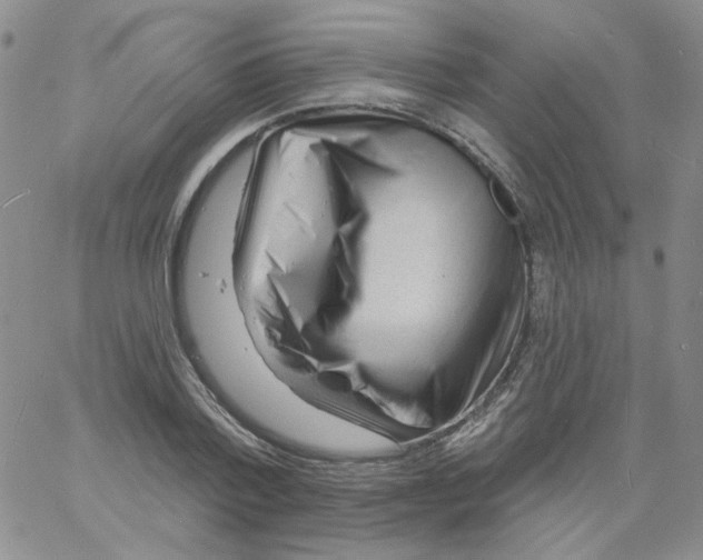 X0000060740788200512081916