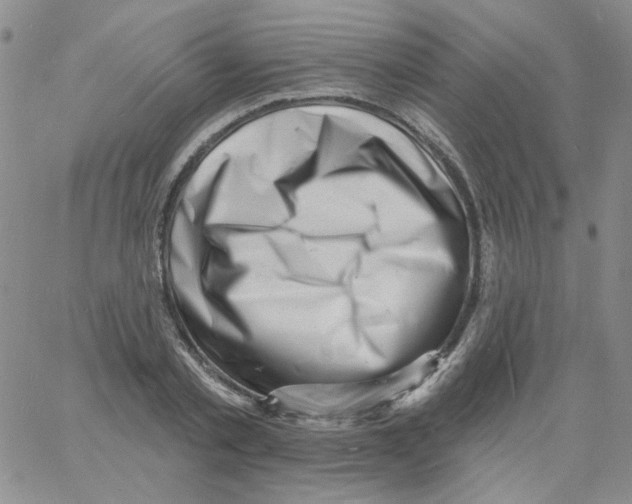 X0000060740789200512081916