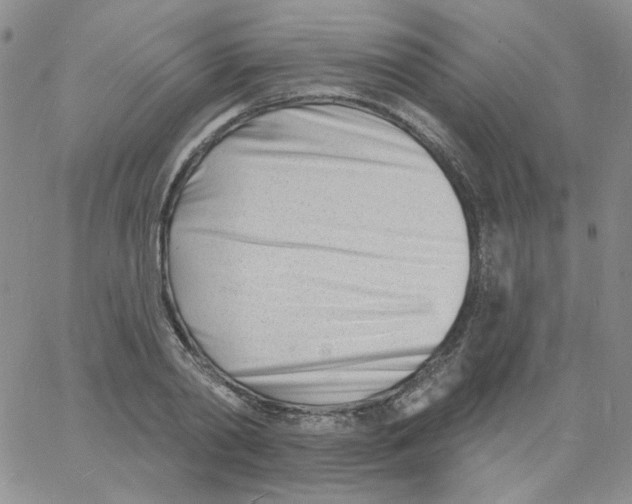 X0000060740790200512081916