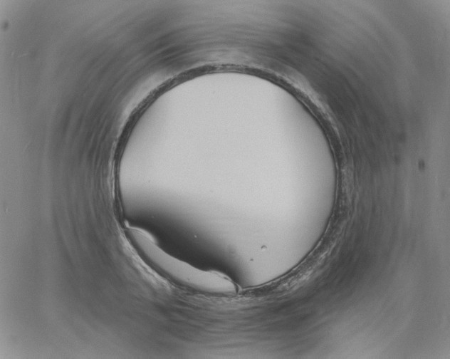 X0000060740791200512081916