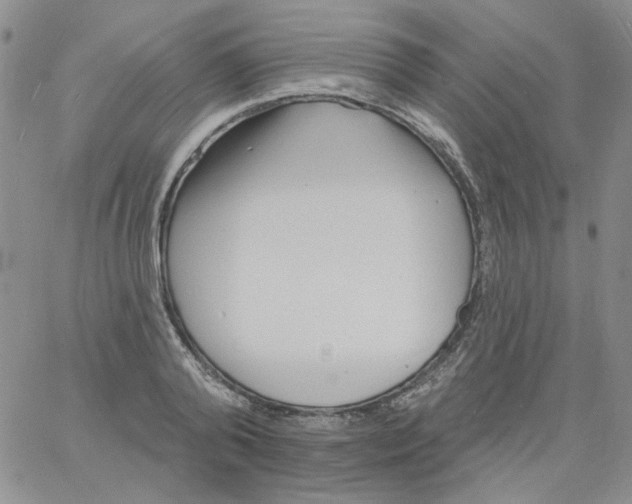 X0000060740792200512081916