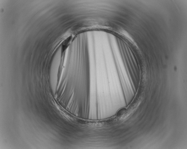 X0000060740793200512081916