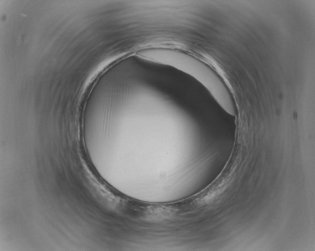 X0000060740795200512081916