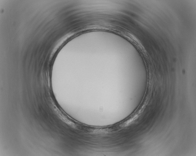 X0000060740796200512081916