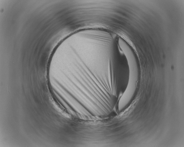 X0000060740797200512081916