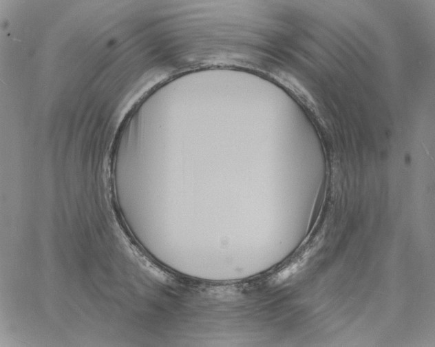 X0000060740798200512081916