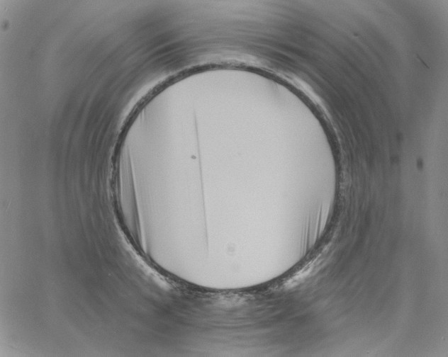 X0000060740799200512081916