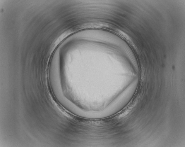 X0000060740802200512081916