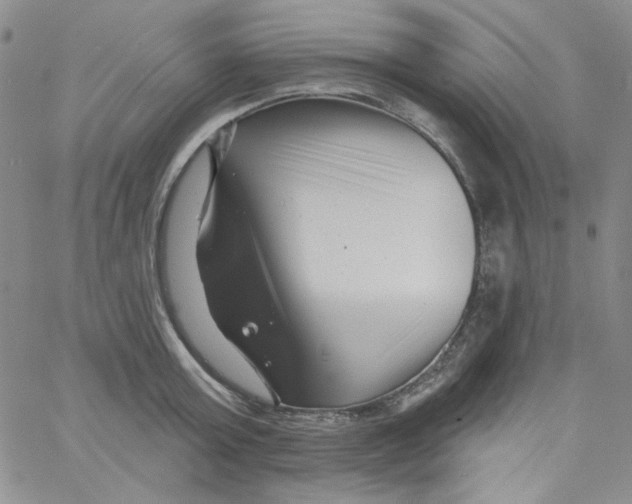 X0000060740803200512081916