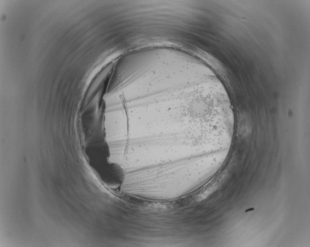 X0000060740806200512081916