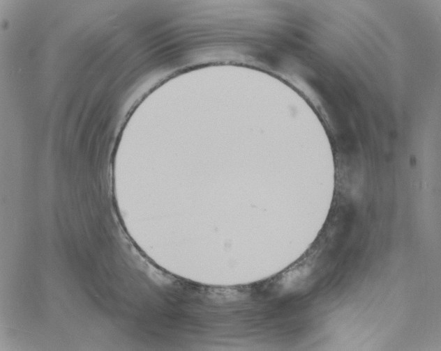 X0000060740807200512081916