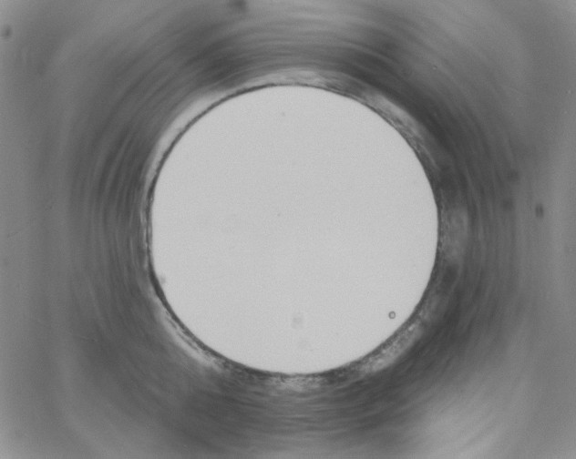 X0000060740808200512081916