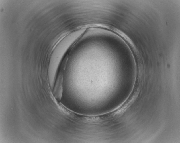 X0000060740809200512081916