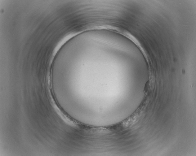 X0000060740811200512081916