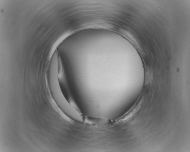 X0000060740812200512081916