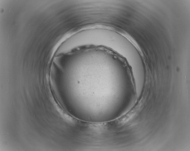 X0000060740813200512081916