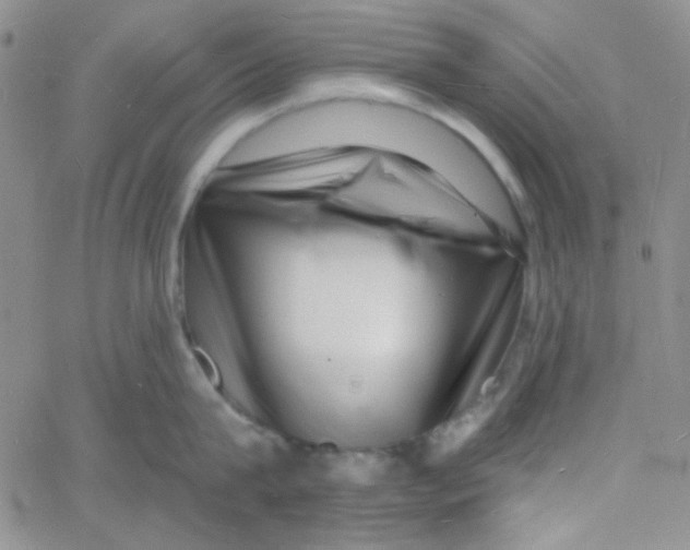 X0000060740815200512081916