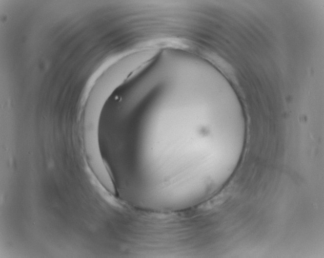 X0000060740816200512081916