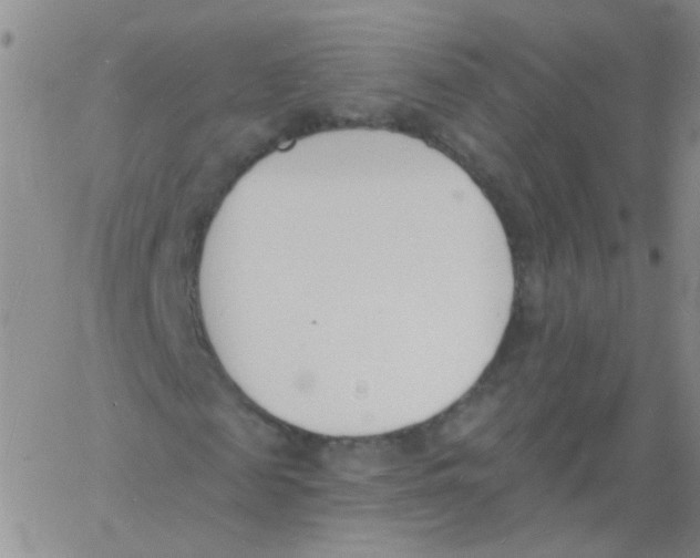 X0000060740817200512081915