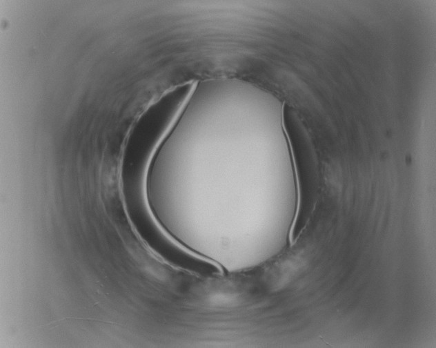 X0000060740818200512081915