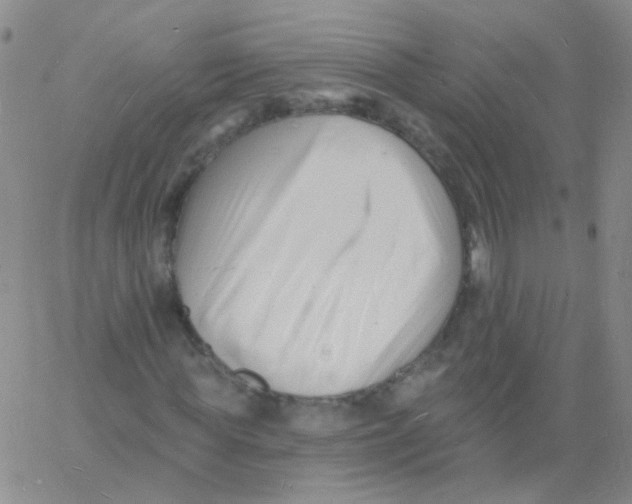 X0000060740819200512081915