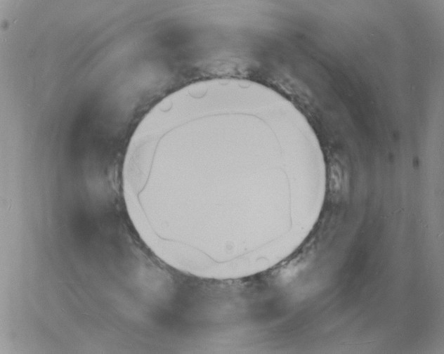 X0000060740820200512081915