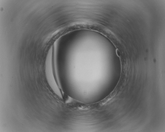 X0000060740822200512081915