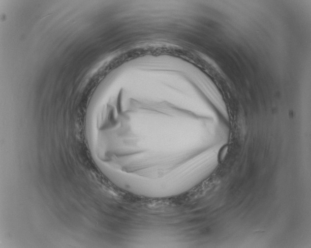 X0000060740823200512081915