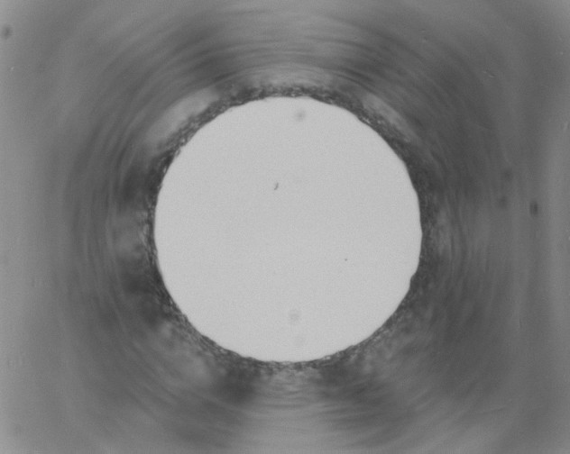 X0000060740824200512081915