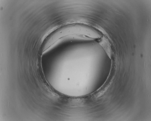 X0000060740826200512081915