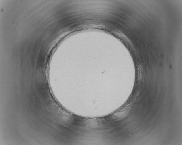 X0000060740828200512081915