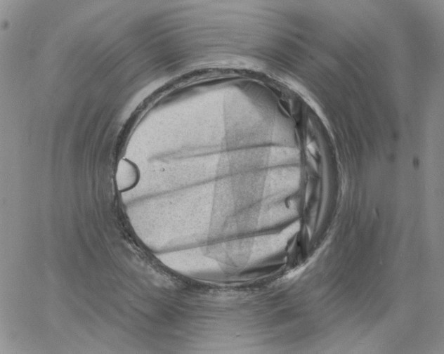 X0000060740829200512081915