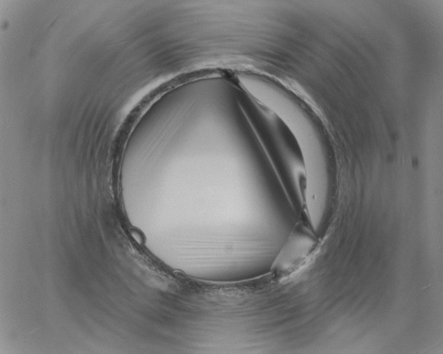 X0000060740830200512081915