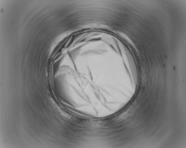 X0000060740831200512081915