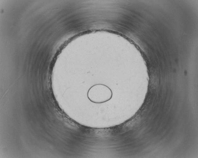 X0000060740832200512081915