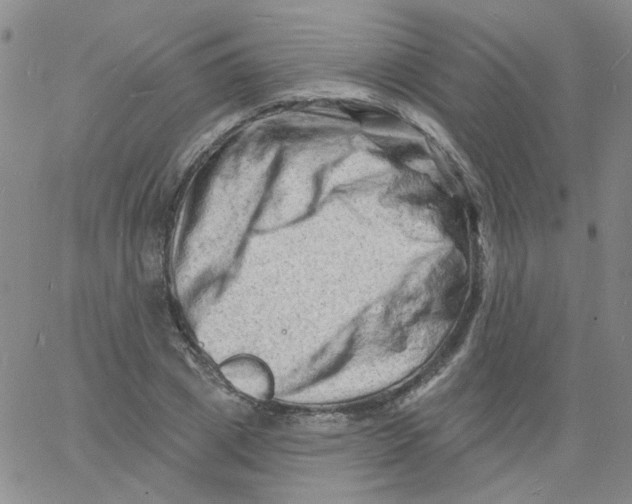 X0000060740833200512081915