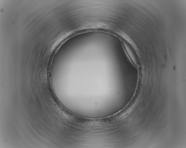 X0000060740834200512081915