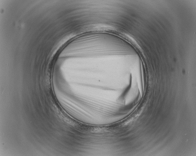 X0000060740835200512081915