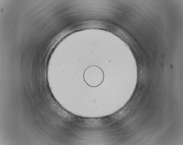 X0000060740836200512081915